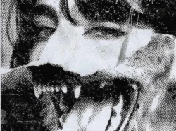 Com abordem les violències masclistes i LGTBI-fòbiques des de la comunitat?